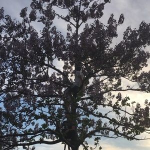 Meet your Posher, Francesca